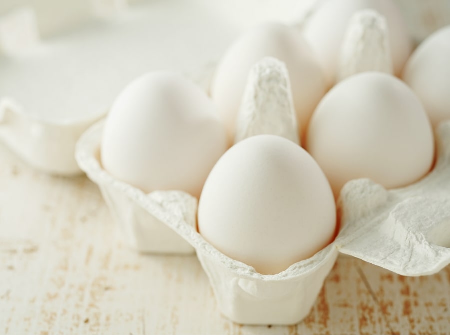 世界各地から仕入れ可能の乾燥卵